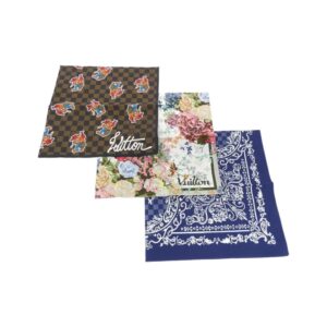 Louis Vuitton accessories - 100% Authentic