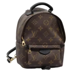 LOUIS VUITTON Monogram Palm Springs MINI Zaino M41562 LV Auth IN006 - Jerrillo