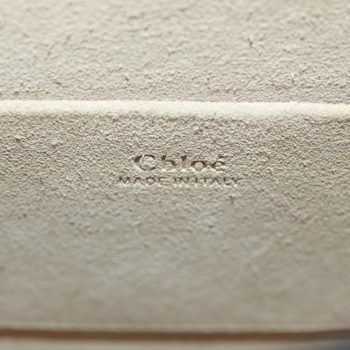 169017V-20 169017V-20