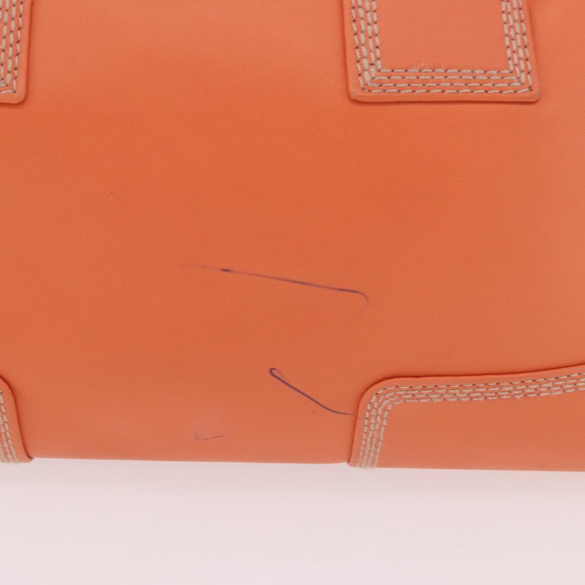 LOEWE Anagram Americana 28 Hand Bag Leather Orange Silver Auth ep14765 - Jerrillo image 3