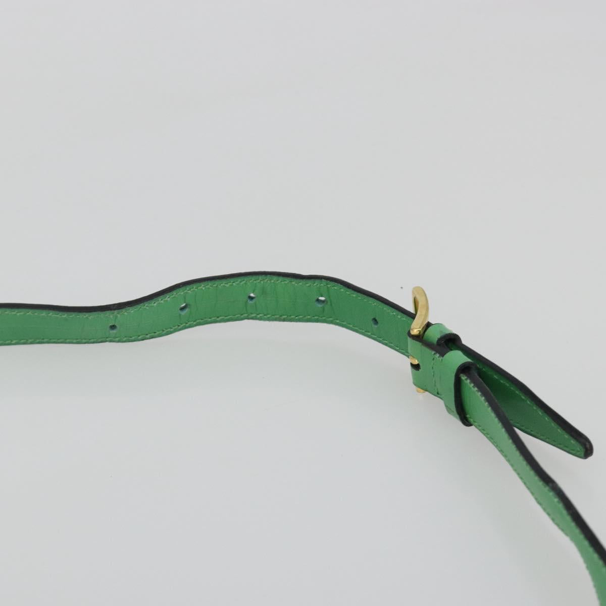 CELINE Shoulder Bag Leather Green Gold Auth 189202 - Jerrillo image 8