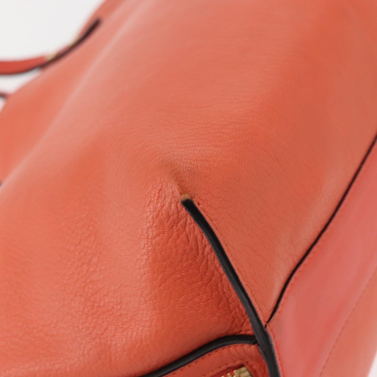Chloe Dylan Tote Bag Leather Gold salmon pink Auth am9397 - Jerrillo image 10