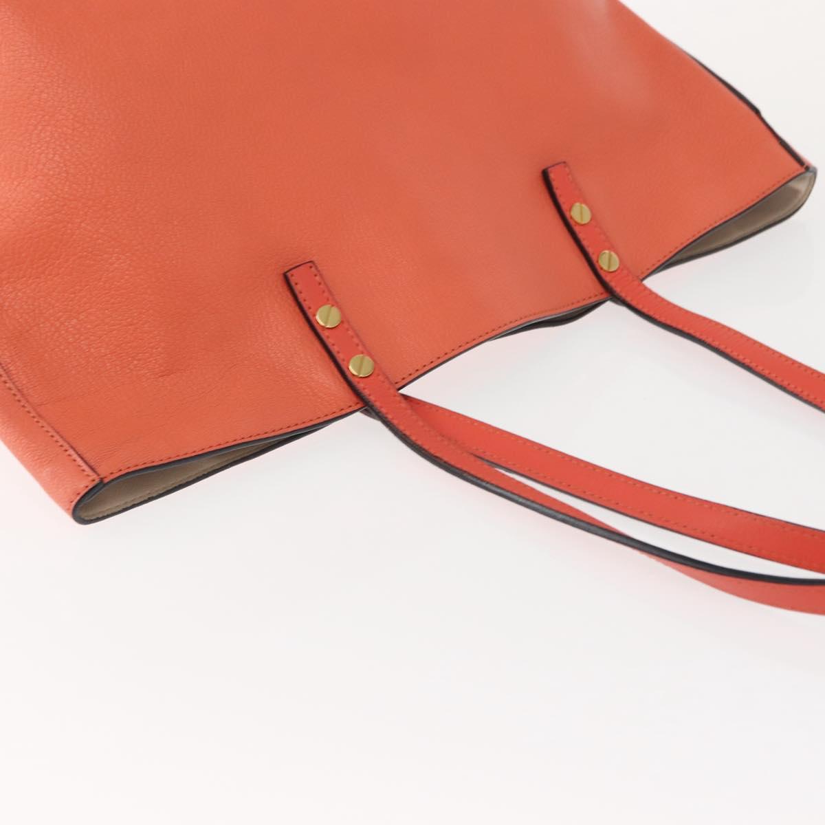 Chloe Dylan Tote Bag Leather Gold salmon pink Auth am9397 - Jerrillo image 6