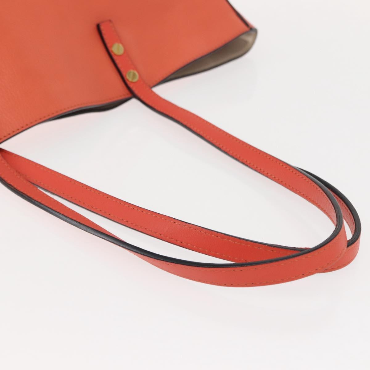 Chloe Dylan Tote Bag Leather Gold salmon pink Auth am9397 - Jerrillo image 7