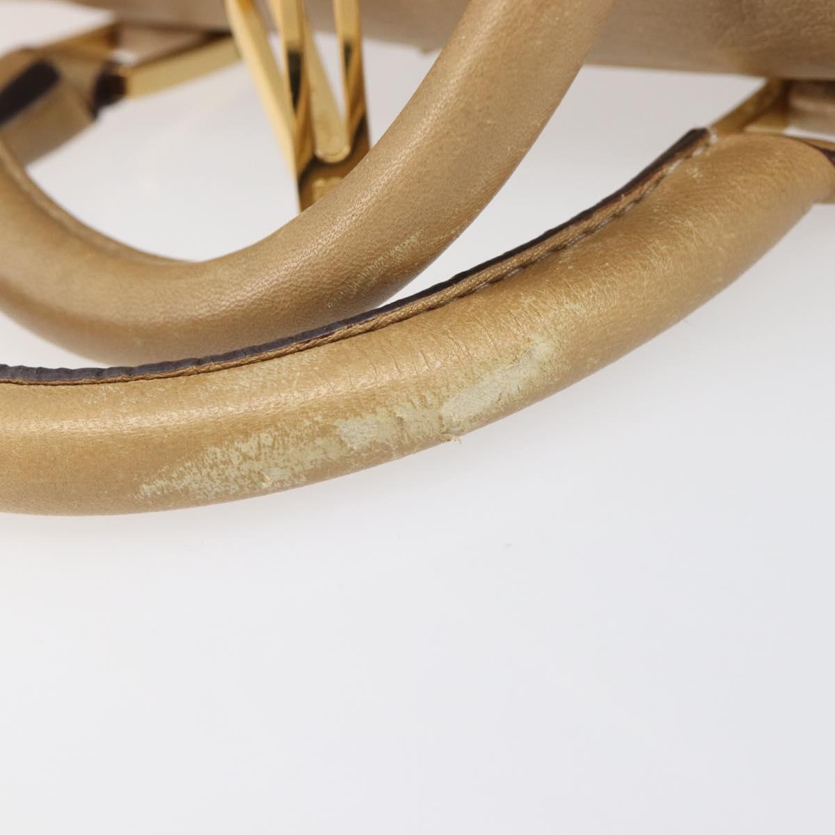 LOEWE Amazona 28 Hand Bag Leather Gold Auth BA16120 - Jerrillo image 9
